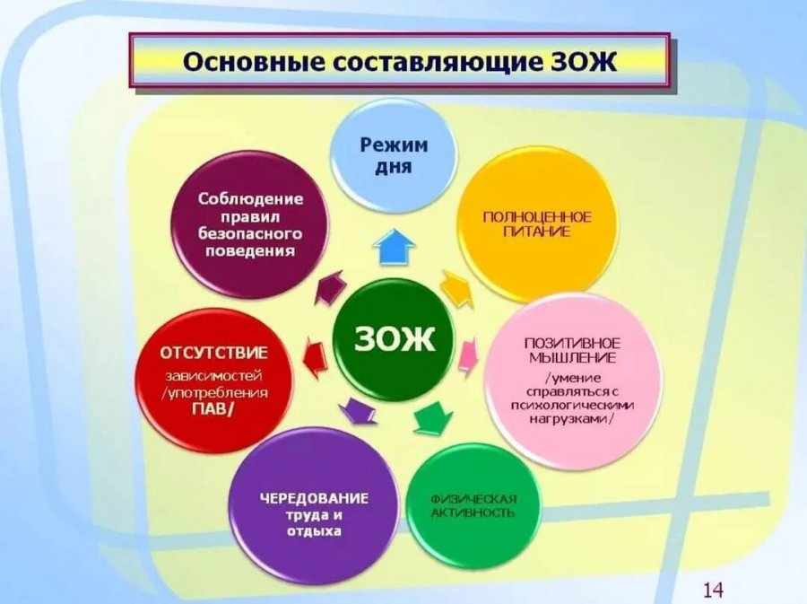 Информационно – образовательная акция «Здоровье – это образ жизни!».