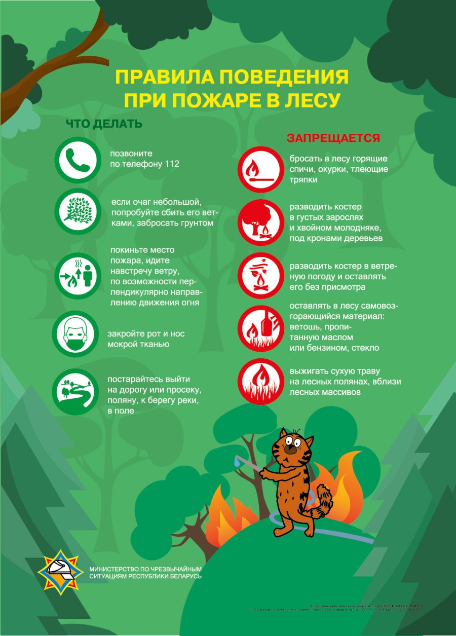 Лесные  пожары
