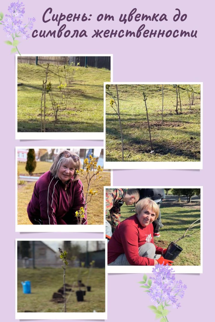 Сирень: от цветка до символа женственности