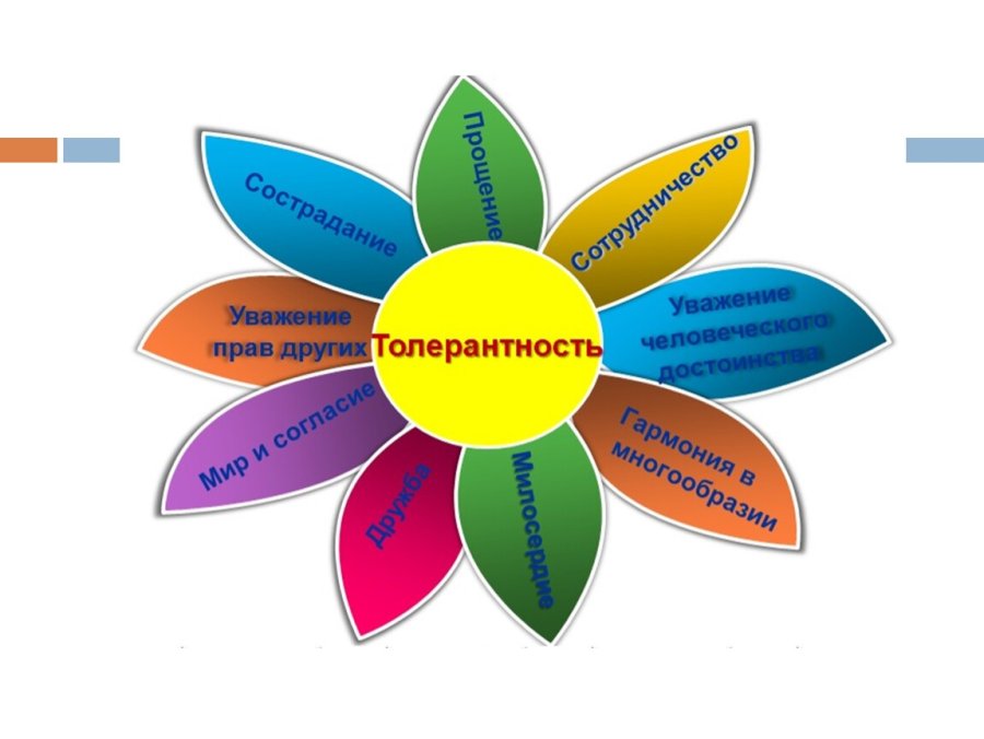 Неделя толерантности 